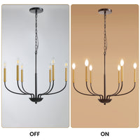 6-Light