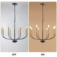 8-Light