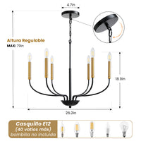 6-Light