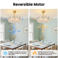 Modern Brushed Gold Ginkgo Leaf Glass Caged Ceiling Fan with Light – 19 Inch