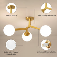 Gold semi-flush ceiling light showing canopy, metal frame, glass shades and bulb holders