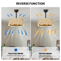 Bohemian Rattan Caged Ceiling Fan with LED Light – 20 Inch