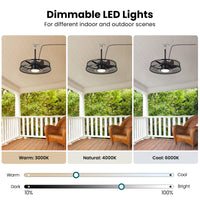 Modern Black Caged Outdoor Ceiling Fan with LED Light – 22 Inch