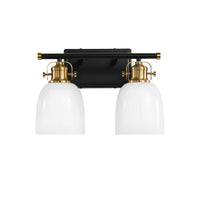 Black&Gold 2-Light