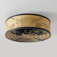 Boho Rattan Caged Ceiling Fan with Light – 20 Inch, 4-Light