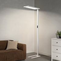 Linear LED Floor Lamp