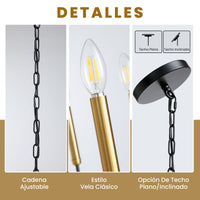 6-Light