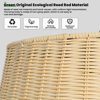 Bohemian Rattan Caged Ceiling Fan with LED Light – 20 Inch